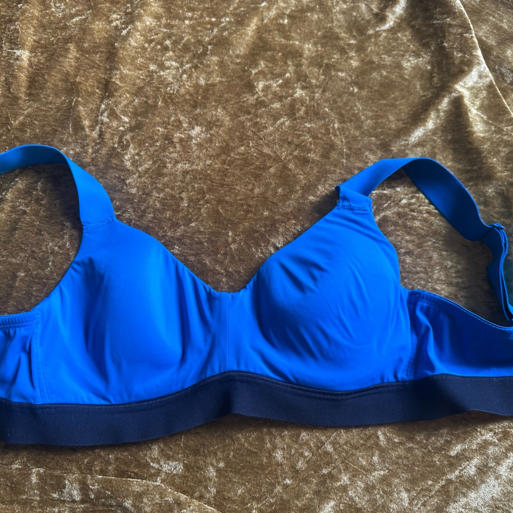 Natori 34B Vibrant Blue Sports Bra